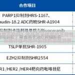 开云体育正规吗?-揭开开云体育的正规性，基于市场评估与用户反馈的深度洞察