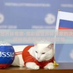 竞彩猫世界杯专家-竞彩猫世界杯专家的决策之道，揭秘赛事观察与策略攻略
