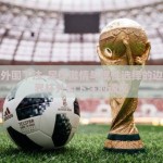 世界杯外围下注-足球激情与理性选择的边界，世界杯外围下注的透视