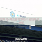 开云体育黑马-开云体育市场中的新黑马，崛起与展望