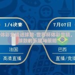 世界杯体彩竞猜进球数-世界杯体彩竞猜，透视进球数的乐趣与策略