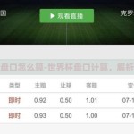 世界杯盘口怎么算-世界杯盘口计算，解析与策略