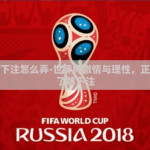 世界杯下注怎么弄-世界杯激情与理性，正确方式了解下注