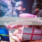 世界杯8强足球竞猜-世界杯8强足球竞猜，激情、策略与预测的碰撞