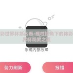 体彩竞彩世界杯怎么看-理性视角下的体彩竞彩世界杯观赏之道