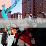 世界杯竞猜结果揭晓-揭晓，2022世界杯竞猜的璀璨时刻