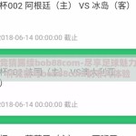 世界杯竞猜踢续bob88com-尽享足球魅力，世界杯竞猜与bob88com的非凡体验