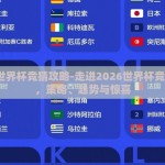 2026世界杯竞猜攻略-走进2026世界杯竞猜世界，策略、趋势与惊喜
