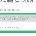 世界杯竞猜能拿到什么-世界杯竞猜，梦想与乐趣的双重体验