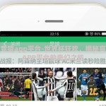 世界杯竞猜app平台-世界杯狂欢，揭秘高效竞猜APP平台的奇幻之旅