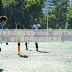 2026年世界杯竞猜活动-2026，星空下的绿茵盛宴，世界杯竞猜狂欢序幕
