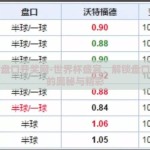 世界杯盘口开奖网-世界杯盛宴，解锁盘口开奖网的奥秘与精彩