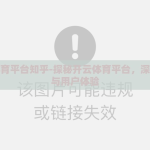 开云体育平台知乎-探秘开云体育平台，深度剖析与用户体验
