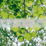 开云体育平台注册-解锁运动激情，开云体育平台的轻松注册指南