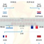 世界杯球赛竞猜怎么买-世界杯球赛竞猜智慧指南，理性分析与策略布局