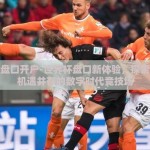 世界杯盘口开户-世界杯盘口新体验，探索激情与机遇并存的数字时代竞技场