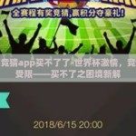 世界杯竞猜app买不了了-世界杯激情，竞猜乐趣受限——买不了之困境新解