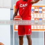 世界杯 竞猜-揭秘2023世界杯，竞猜之魅