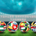 世界杯下注什么意思-世界杯的激情与理性，揭开下注的神秘面纱