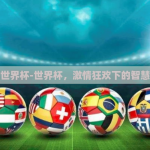 下注世界杯-世界杯，激情狂欢下的智慧下注