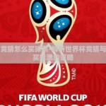 世界杯竞猜怎么买球票-解析世界杯竞猜与有效购买球票的策略