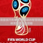 世界杯竞猜技巧有哪些-足球迷的智慧锦囊，世界杯竞猜技巧全攻略