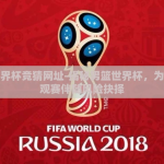 男篮世界杯竞猜网址-揭秘男篮世界杯，为何优质观赛伴随风险抉择