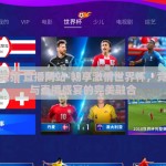 世界杯竞猜 直播网站-畅享激情世界杯，竞猜乐趣与直播盛宴的完美融合