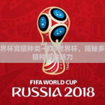 体彩世界杯竞猜种类-体彩世界杯，揭秘多元化竞猜种类的魅力