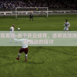 开云体育黑钱-关于开云体育，透明竞技场下的暗流涌动的探讨