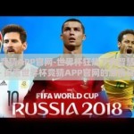 世界杯竞猜APP官网-世界杯狂热下的智慧竞技场 —— 探索世界杯竞猜APP官网的激情与智慧