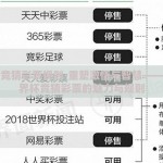 世界杯竞猜彩票规则-重塑激情与智慧——揭秘世界杯竞猜彩票的魅力与规则