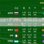 世界杯去哪下注-世界杯，怎样找到合适的地方下注