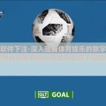 世界杯软件下注-深入理解体育娱乐的数字化边界，世界杯观赛的新兴体验与软件下注的秘密