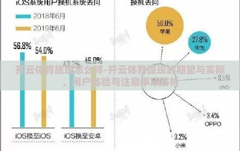 开云体育提现怎么样-开云体育提现的期望与实际,用户体验与注意事项解析 开云体育提现怎么样-开云体育提现的期望与实际,用户体验与注意事项解析