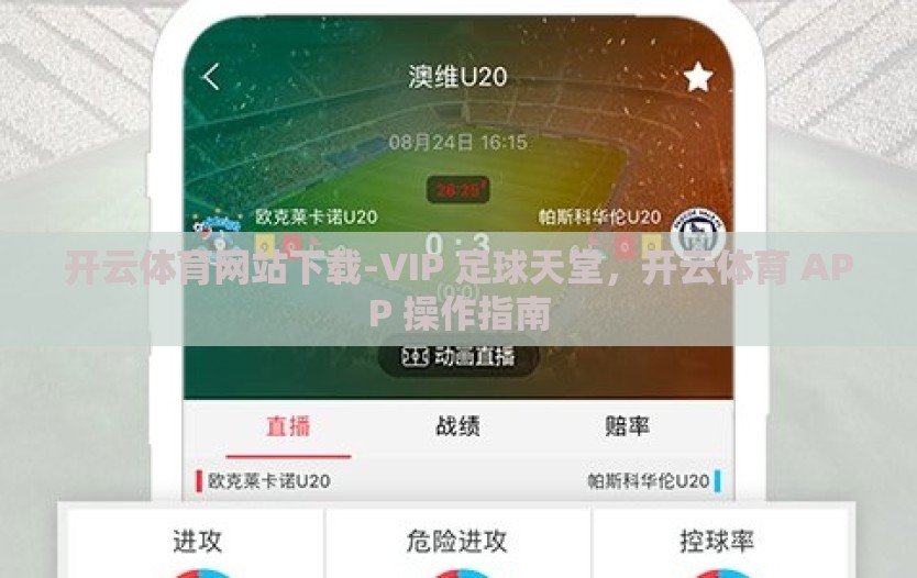 开云体育网站下载-VIP 足球天堂，开云体育 APP 操作指南