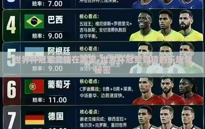 世界杯冠军竞猜在哪里-世界杯冠军竞猜的乐趣与秘密