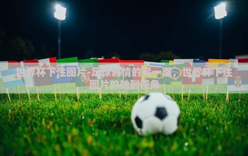 世界杯下注图片-足球热情的另一面，世界杯下注图片的独到视角
