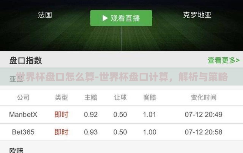 世界杯盘口怎么算-世界杯盘口计算，解析与策略