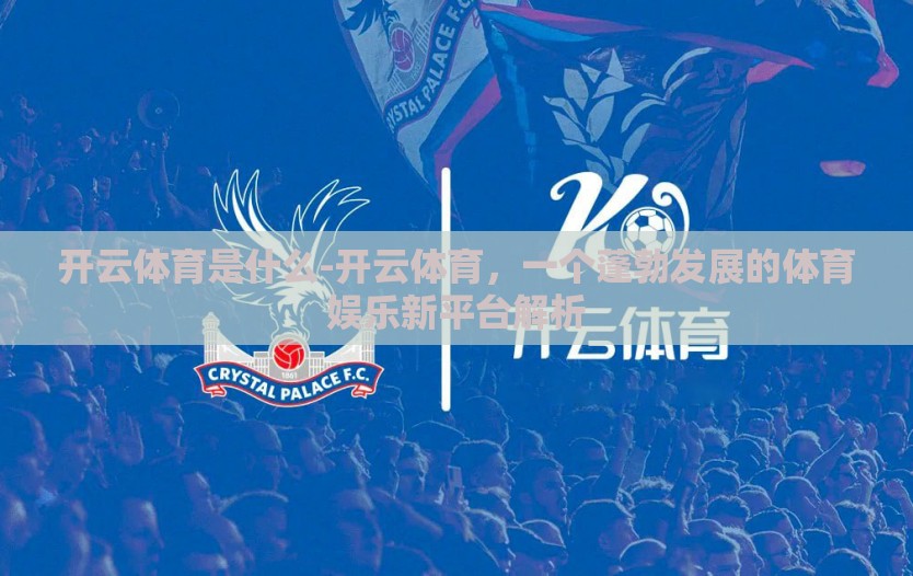 开云体育是什么-开云体育,一个蓬勃发展的体育娱乐新平台解析 开云体育是什么-开云体育,一个蓬勃发展的体育娱乐新平台解析