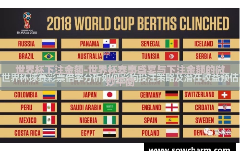 世界杯下注金额-世界杯赛事盛宴与下注金额的微妙平衡