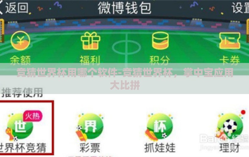 竞猜世界杯用哪个软件-竞猜世界杯，掌中宝应用大比拼