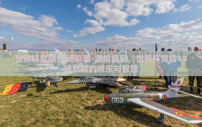 世界杯竞猜14场彩票-激情盛宴，世界杯竞猜14场彩票的欢乐与智慧