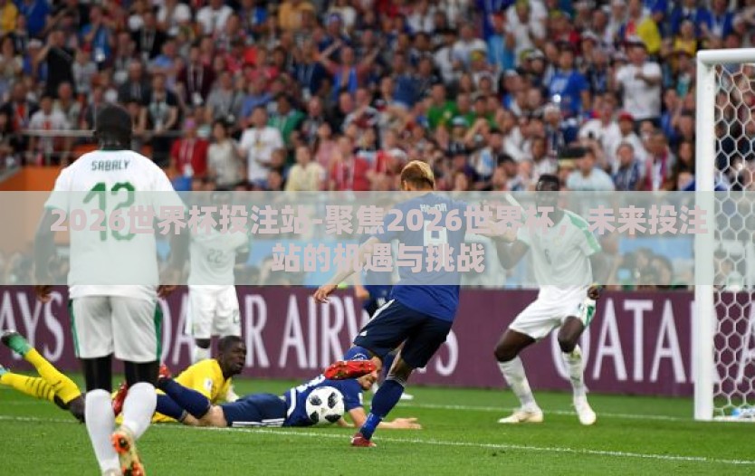 2026世界杯投注站-聚焦2026世界杯，未来投注站的机遇与挑战