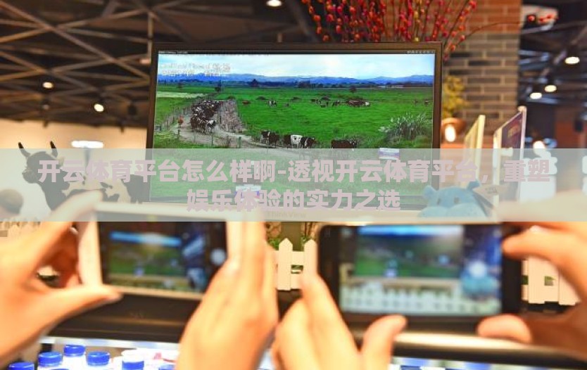 开云体育平台怎么样啊-透视开云体育平台，重塑娱乐体验的实力之选