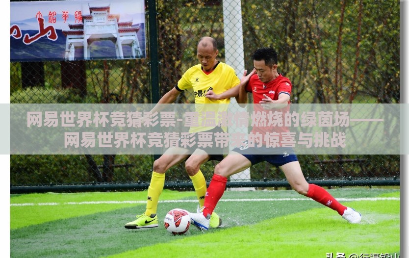网易世界杯竞猜彩票-重温激情燃烧的绿茵场——网易世界杯竞猜彩票带来的惊喜与挑战 网易世界杯竞猜彩票-重温激情燃烧的绿茵场——网易世界杯竞猜彩票带来的惊喜与挑战