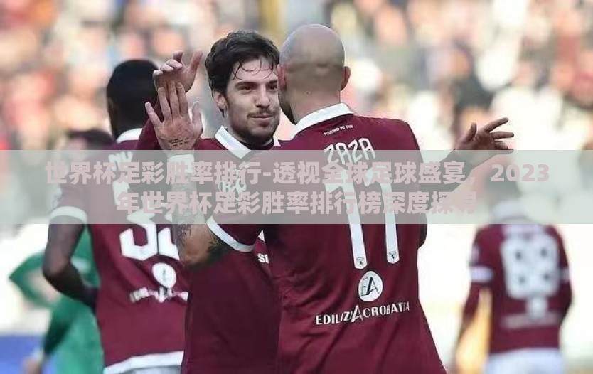 世界杯足彩胜率排行-透视全球足球盛宴，2023年世界杯足彩胜率排行榜深度探寻