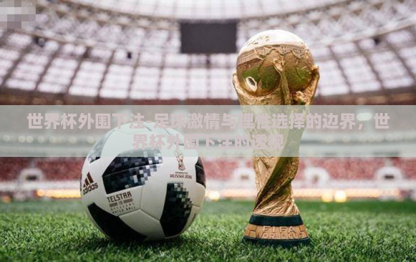 世界杯外围下注-足球激情与理性选择的边界，世界杯外围下注的透视