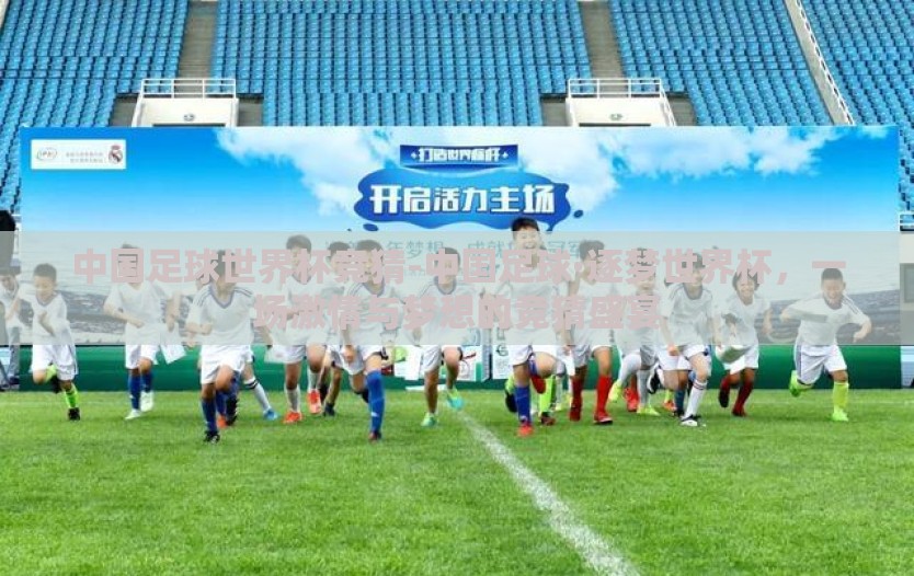 中国足球世界杯竞猜-中国足球·逐梦世界杯，一场激情与梦想的竞猜盛宴