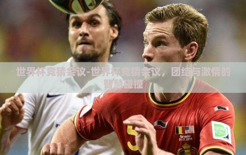 世界杯竞猜会议-世界杯竞猜会议，团结与激情的智慧碰撞